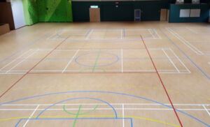 Aceflex-Vinyl Sports Flooring